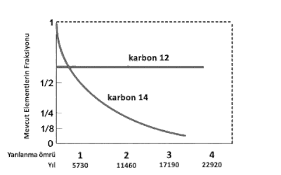 Karbon 12 Sabit Kalırken, Karbon 14; 5730 yılda bir yarı miktarına geriler.