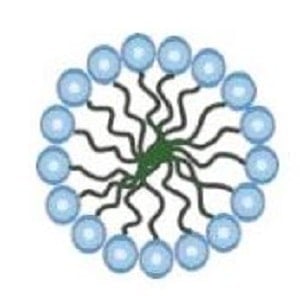 Misellerin (micelles) Şematik Gösterimi | Mavi yuvarlaklar kazein proteinleri ve aradaki bağları sağlayan inorganik maddeler.